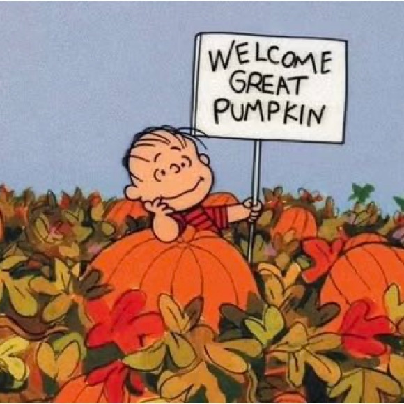 Meet your Posher, Veera - Picture 1 of 1